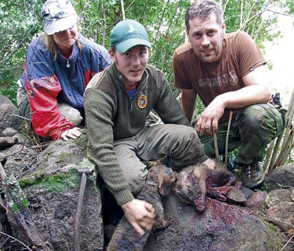 Sophie, Erik och Johan är nöjda grytjägare och taxen Ella får äntligen ge grävlingen på pälsen.
