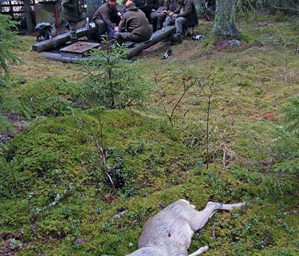 Grabbarna grillar en korv och ber&auml;ttar om dagens upplevelser medan killingen ligger och v&auml;ntar p&aring; att tas ur.