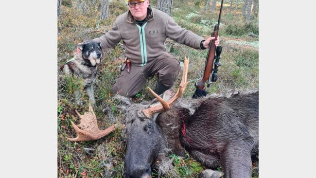Tack vare älghunden Gizmo kunde Joakim Olsson fälla en fin 16-taggare. Horntrofén är rekordstor för Hargene-Vässby viltvårdsområde söder om Säffle i Värmland.