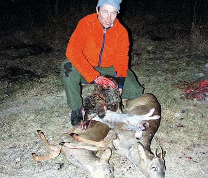 Visst har husse Pertti Siirtola en effektiv tax. Två fällda rådjur och en hare samt elva drev blev facit för dagens jakt.