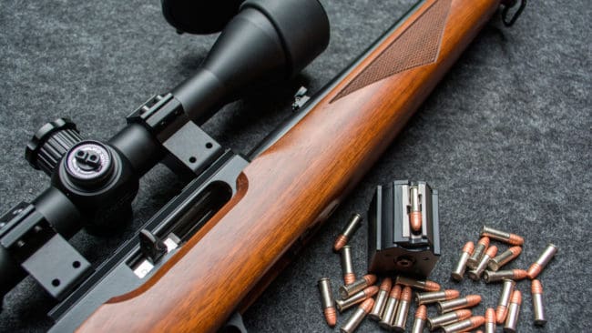 Tre unga män i Österbotten har dömts till villkorligt fängelsestraff och jaktförbud i tre respektive fem år sedan de från bilen bland annat skjutit rådjur och vitsvanshjortar med 22.gevär i skenet av strålkastare. (Arkivbild)