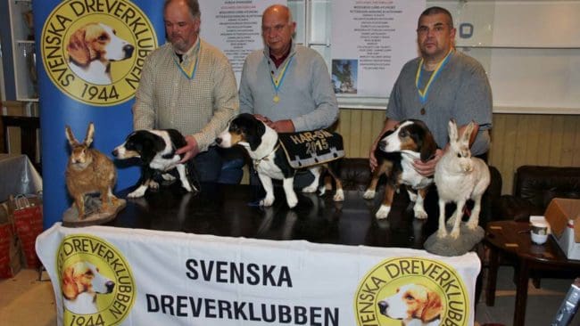 SE JCH Rödmyrabackens Tindra, ägare Bengt Gunnarsson, Nystugugårdens Diva, ägare Jan Eriksson, FI JCH SE JCH SE UCH Börsvallens Kia, ägare Brian Lundberg.