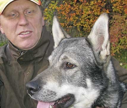 Olof Melin vill veta om hans jaktkamrater kan skydda hans hundar mot vargangrepp n&auml;r &auml;lgjakten startar i Gagnef i Dalarna.&nbsp;