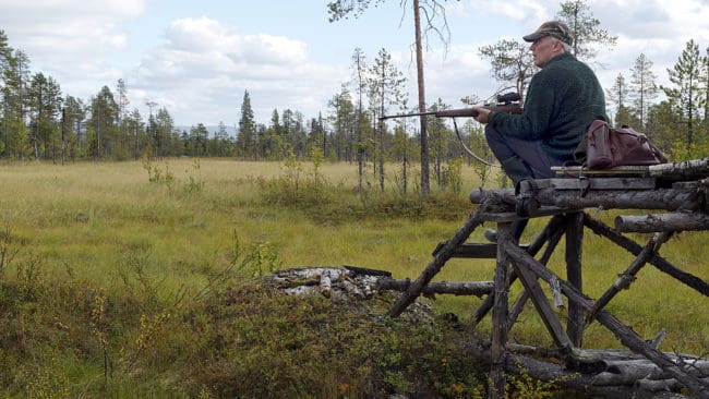Enligt ett förslag från Naturvårdsverket ska jakttiderna ses över vart sjätte år. Jägarnas Riksförbund välkomnar att arbetet med jakttider struktureras.