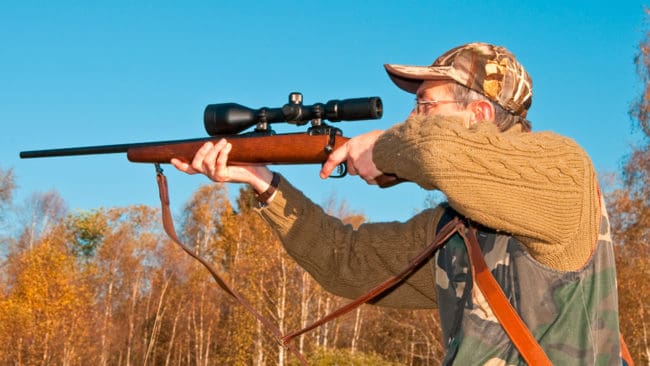 Värmländska jägare får jaga 30 procent färre älgar i år än förra året. (Arkivbild)