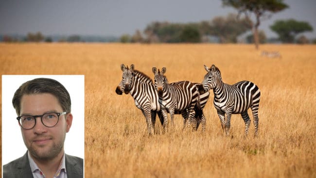 SD-ledaren Jimmie Åkesson tar avstånd från troféjakt i Afrika.