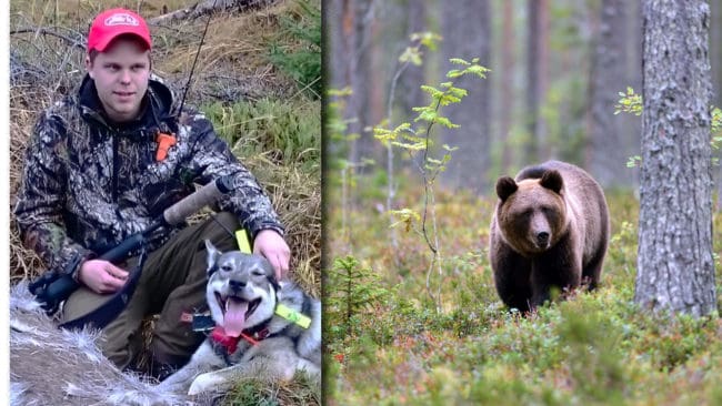 Alexander Göransson får stöd av både Jägarnas Riksförbund och Naturvårdsverket. Det var inget brott när hans jämthund Aijko skällde på en björn och Alexander filmade dramat från sin bil.