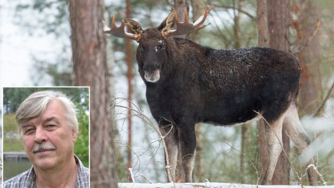 Naturvårdsverket föreslår förenklingar i regler för viltvårdsområden, så att förvaltningen ska vara enklare. Ulf Kallin, viltvårdskonsulent hos Jägarnas Riksförbund, menar att förbundet är förväntansfulla inför den fortsatta processen.