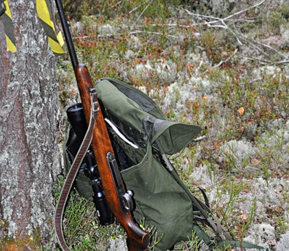 Ny &auml;lgjakt. Snart &auml;r den nya &auml;lgf&ouml;rvaltningen sj&ouml;satt i Norrbotten.