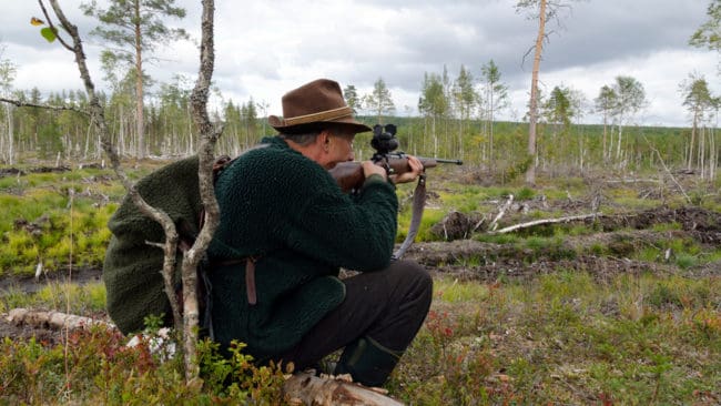 Norrländska älgjägare tillhör dem som ombetts deltai SLU-undersökningen om jakten och viltets värde, som handlar om miljardbelopp.