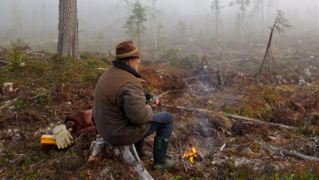 En älgjägare i Svängsta-trakten är polisanmäld för att ha fällt en älgko när det bara var kalv och tjur på tilldelningen. (Arkivbild)