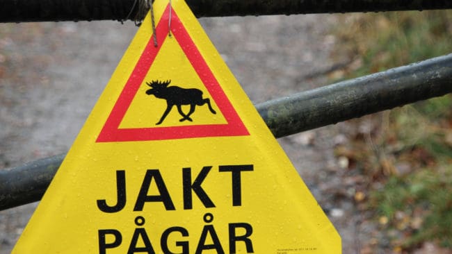 Fem dagar per år har föräldrar som är lediga från jobbet för att jaga möjlighet att få barnomsorg i kommunerna Strömsund och Krokom i Jämtland.