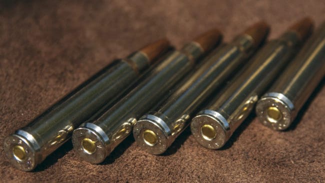 Tyska jägare anser att det kan leda till djurplågeri när man använder annan jaktammunition än de som innehåller bly och kan expandera.