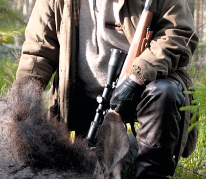 Anders Ljung, chefredakt&ouml;r p&aring; Jakt & J&auml;gare, skriver om hur Dagens Nyheter f&ouml;rvandlat vargjaksfr&aring;gan till en psykedelisk snedtripp.