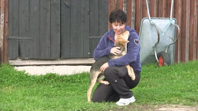 Rysst&ouml;varvalpen Titti &auml;r familjens senaste hund. Anette &auml;r v&auml;l medveten om att en s&aring;dan jakthund kanske inte blir s&aring; gammal n&auml;r det &auml;r vargrevir i alla v&auml;derstr&auml;ck.