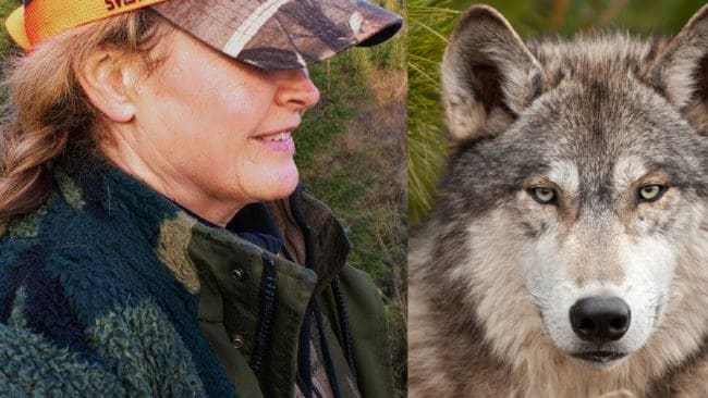 Styrelseledamoten i Jägareförbundet i Örebro län, Anki Bergqvist, går på tvärs med sitt förbund. Hon vill inte ha frilevande vargar i Sverige.