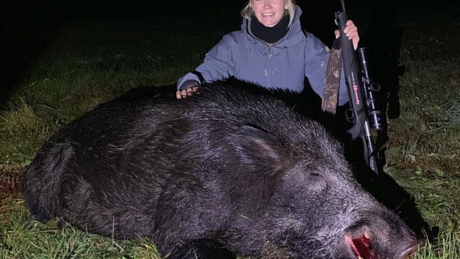 När den norska jägarprofilen Anette Dahl gjorde ett besök i Värmland kunde hon fälla en galt på 202 kilo med 20 centimeter långa beter. Det gick bara att ha en patron i studsaren, så det gällde att sikta extra noga.