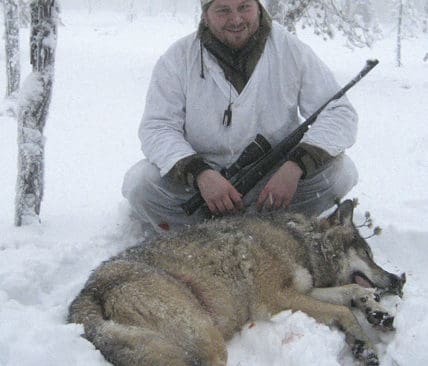 Ansgar Johannesen sk&ouml;t varghannen fr&aring;n Ockelboreviret och var bara en sekund fr&aring;n att f&aring; vargdubbl&eacute;, men den andra vargen hann undan.