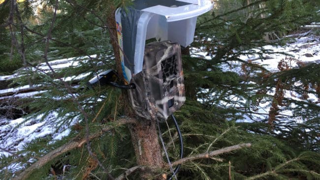 Personalen på länsstyrelsen i Västmanland hävdar att de såg fel på kartan när de monterade upp en rovdjurskamera på en privat mark.