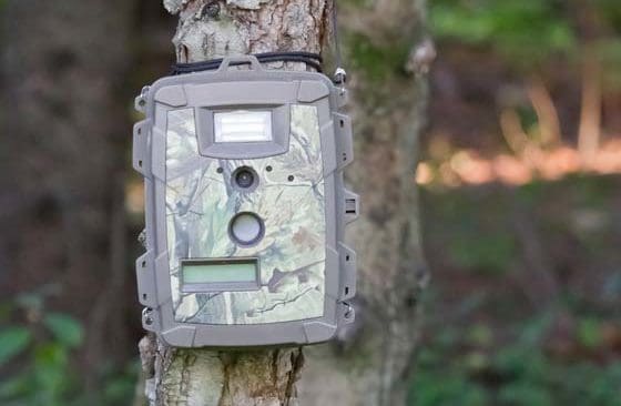 En 39-åring från Falun åtalas för brott mot kameraövervakningslagen efter att hans två kameror hittats otillåtet uppsatta vid åtelplatser. (Arkivbild)