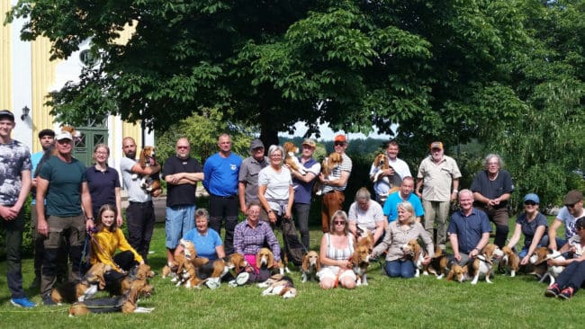 Uppslutningen var mycket god under rasklubbens aktivitetshelg den 13–14 juli. (Klicka på pilarna på bilden för att se fler bilder.)