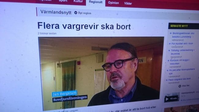 V&auml;rmlandsnytts scoop. Jan Bergstam i Rovdjursf&ouml;reningen tycker att det &auml;r dags f&ouml;r licensjakt p&aring; varg.