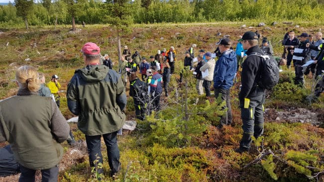 Hygget ligger på en halvö ut i sjön Hornavan och är en naturlig uppsamlingsplats för vandringsälgar i området. Den här platsen är ett bra exempel på hur olika myndigheter kan dra åt olika håll när det gäller älgjakt och skogsfrågor.