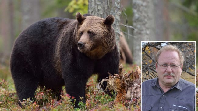 Bengt Larsson, ordförande för Jägarnas Riksförbund i Dalarna, tycker det var rätt att stoppa björnjakten i två områden på grund av oetisk jakt.
