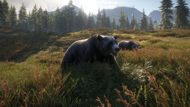 Så här ser det ut när vilt som björn dyker upp i den virtuella jaktmarken i "The Hunter: Call of the Wild".