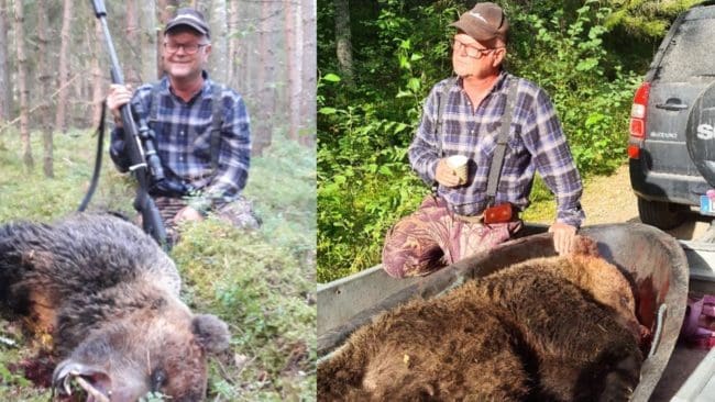 Anders Brandt skulle skogsträna sin unga tax. Då stötte han plötsligt på en björn.