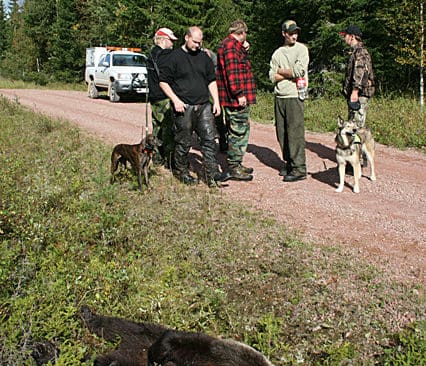 Hur m&aring;nga bj&ouml;rnar ska skjutas? N&auml;, det f&aring;r inte viltf&ouml;rvaltningsdelegationen ha n&aring;gra synpunkter p&aring; i Dalarna. Det leder nu till skarp kritik.