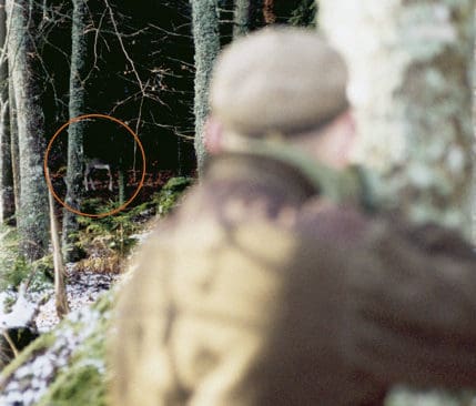 Christer Ferm har tagit stöd med studsaren mot ett litet träd och väntar in ett eventuellt läge för skott. Han visslar till och hinden stannar till i steget, bakom ett träd förstås. Det känns som en evighet innan hinden oroligt går fram ett par steg. Skottfältet är helt fritt och Christer låter Tikkans 6,5-kula löpa.