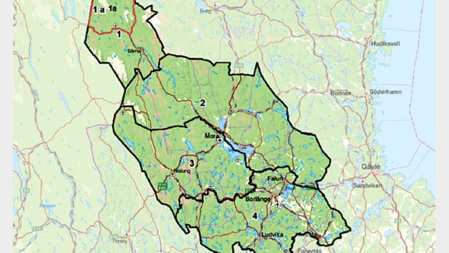 Det blir även i år licensjakt på totalt 48 björnar i Dalarna. Kvoten är fördelad på fyra områden. Honvkoter i den västra och södra delen gör att jakten stryps för att få fler björnar söder ut.