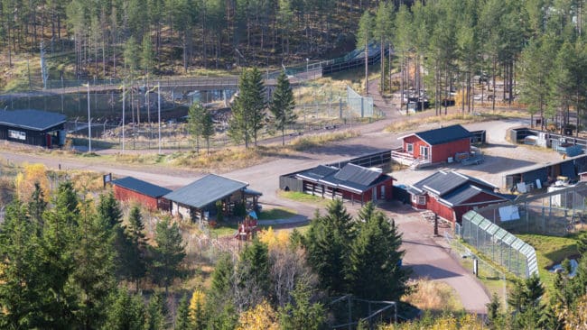 Bristande grävskydd under stängslen inne i björnparken kan ha lett till den dödliga björnattacken i fredags.
