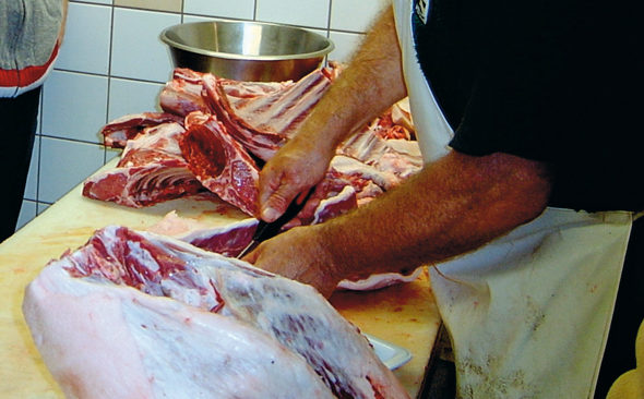 Kampanjen fr&aring;n Livsmedelsverket om blyrester i vilk&ouml;tt forts&auml;tter med en ny insats, lagom till &auml;lgjaktspremi&auml;ren i s&ouml;dra Sverige.