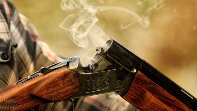 Tingsrätten anser att jägaren möjligen ”i någon grad” visade grov oaktsamhet, men friar honom för hagelsalvan som skadade en sällskapshund som sprang före sin husse. Skytten trodde det var en vildkatt.