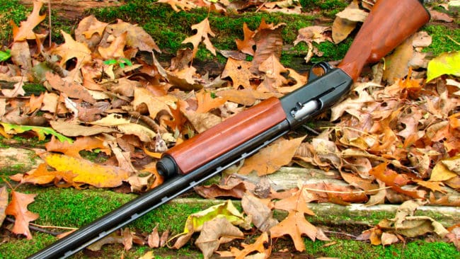 Vapen som beslagtagits hos tjuvjägare ska säljas på auktion. Totalt är det 387 bössor som viltmyndigheten i Minnesota avyttrar för att få in mer pengar till verksamheten.