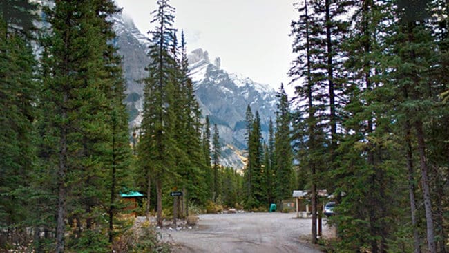 Vid campingplatsen Rampart Creek i Banffs nationalpark i Kanada blev en tältande man biten i båda underarmarna av en varg som sedan avlivades av parkpersonal.