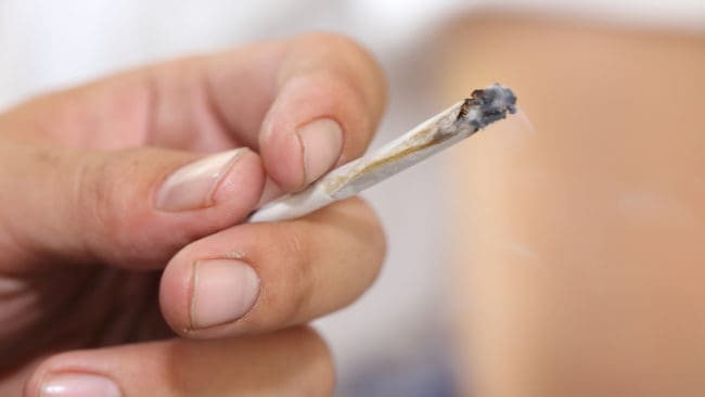 I Tyskland är det tillåtet att använda cannabis i medicinskt syfte, men en man som gör det tillåts av en lokal jaktförening att jaga. (Arkivbild)