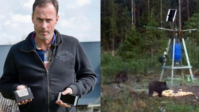Carl Pfeiff har uppfunnit ett modernt övervakningssystem av vildsvinsåtlar.