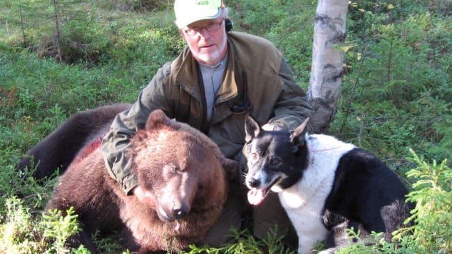 Conny Sandström, Jägarnas Riksförbunds ordförande, fällde en 150 kilos björnhanne med hjälp av sin hund Tuff.