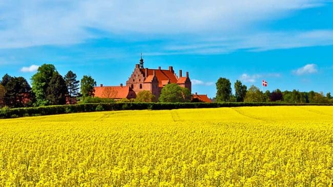 Det danska partiet Enhedslisten vill att andelen odlad mark i Danmark ska minskas rejält och omvandlas till ”vild natur”.