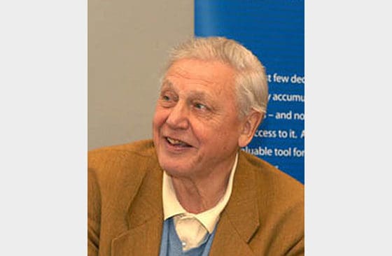 Sir David Attenborough är emot idén att återinföra varg i Skottland.