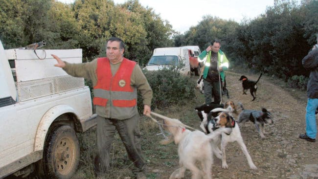 Får vi sätta igång nu? Hundarna har fått nog av att vänta i bilen.