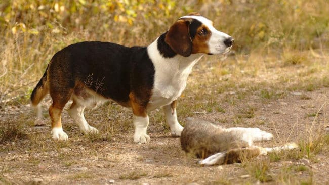 Klubbens nuvarande ekonomiska situation diskuterades en hel del under Dreverstämman.