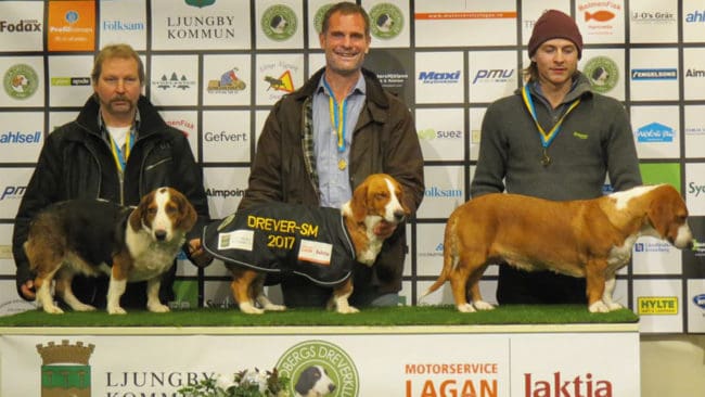Trumslagarboställets Siri, med ägare Rickard Oskarsson från Kalmar läns DK, segrade i Drever-SM med 1 Rå + 1 Räv.