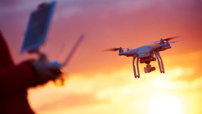 Polisen i Jakobstad har tagit hjälp av cirka 15 jägare och en drönarförare för att hitta en varg som ska skjutas. (Arkivbild)