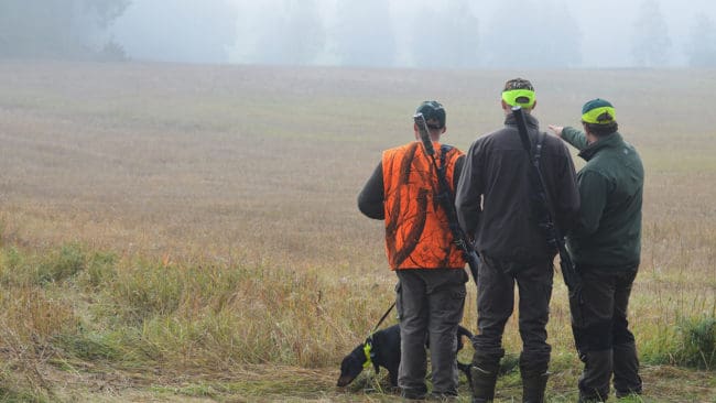 Jägarnas Riksförbund får ny medlemsförsäkring from 1 april.