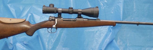 Den gamla 146:an har fått ett nytt liv som älg- och grisvältare.