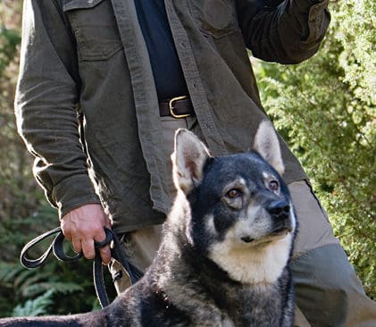 Skulle staten inte ens st&auml;lla upp att finansiera dessa vargar anser vi inte det finnas underlag att ha frilevande varg i Sverige. Det tycker Svenljungagruppens Thomas Ekberg om gruppens krav p&aring; max 210 vargar, kontra stora kostnader f&ouml;r att skydda f&aring;rbes&auml;ttningar mot angrepp.